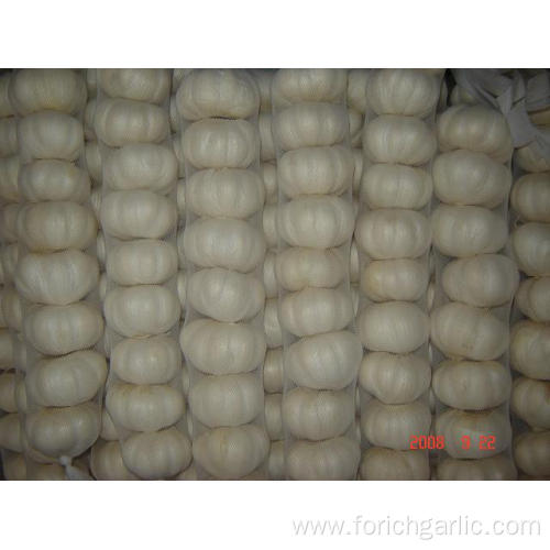 Large Bag Pure White Garlic Packed 500g bag